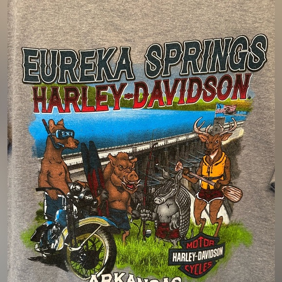 Harley Davidson Motorcycle Freedom Road Shirt Adult Gray Men’s L Eureka Springs - Picture 6 of 8